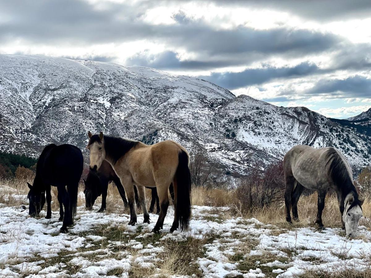 Monte Oiz Con Wifi Y Parking Gratis Daire Sierra Nevada Dış mekan fotoğraf